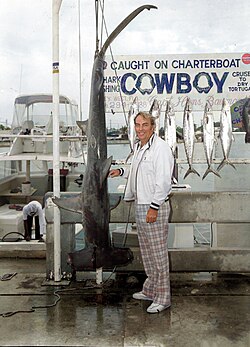Great hammerhead shark, fishing
