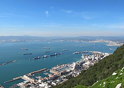 Gibraltar, the capital city of Gibraltar, barbary macaque