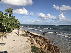 South Tarawa, the capital city of Kiribati, teaoraereke