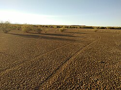 Landscape in Algeria