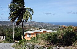 Landscape in Barbados, beach