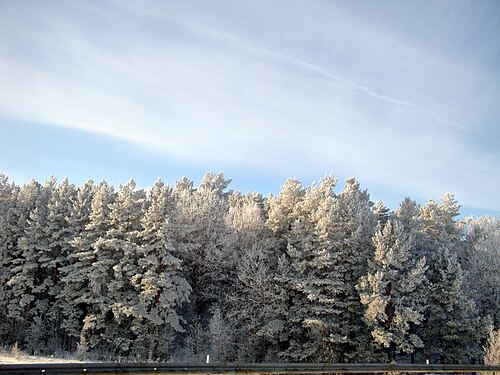 Landscape in Belarus, winter highway panoramio