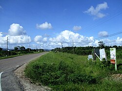 Landscape in Belize, laika ac anemone