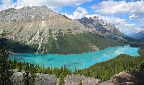 Landscape in Canada, peyto lake banff np