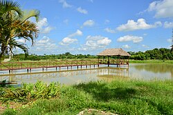 Landscape in Cuba