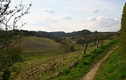 Landscape in Denmark, faarbjerg udsigt mod hylke panoramio