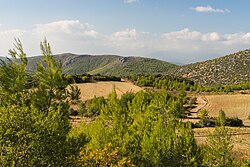 Landscape in Greece, north euboea