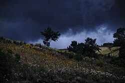 Landscape in Guatemala, todos santos cuchumatán panoramio
