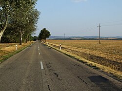 Landscape in Hungary, road