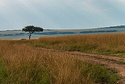 Landscape in Kenya, 2du
