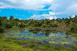 Landscape in Liberia, africa panoramio