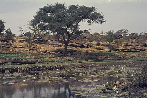 Landscape in Mali