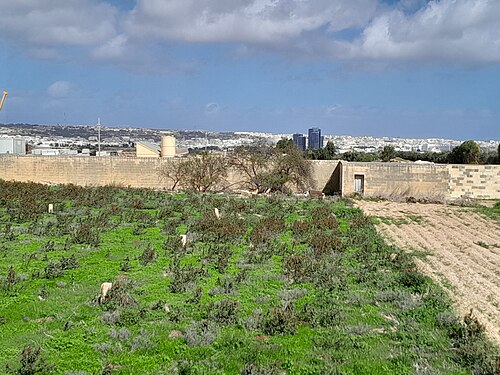 Landscape in Malta