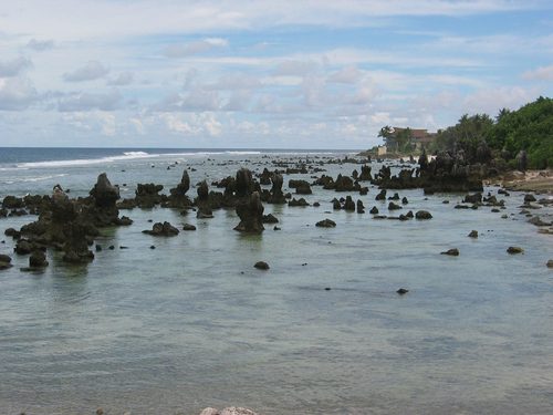 Landscape in Nauru, coral reef