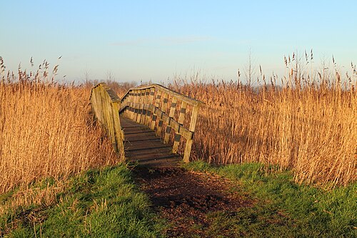 Landscape in Netherlands, inationaal park de alde feanen