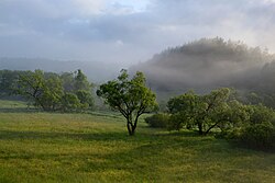 Landscape in Poland, morning upków