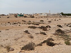 Landscape in Qatar, al jumailiyah village