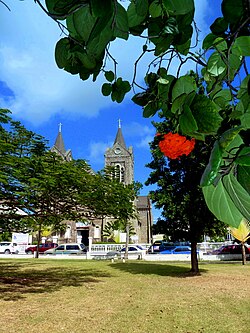 Landscape in Saint Kitts and Nevis, st immaculate conception co cathedral independence square panoramio