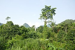 Landscape in São Tomé and Príncipe, vue depuis la pousada roç bombaim tomé