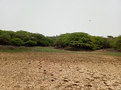 Landscape in Senegal, dried up freshwater spring popenginne nature reserve