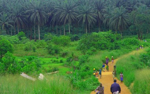 Landscape in Sierra Leone, road