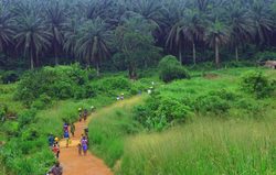 Landscape in Sierra Leone, mount bintumani or