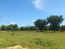Landscape in South Sudan, new kenya panoramio