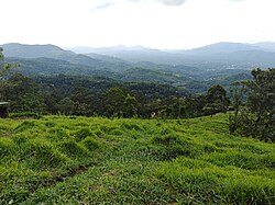 Landscape in Sri Lanka, bellewood