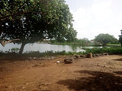 Landscape in Togo, environnement kodomé lomé
