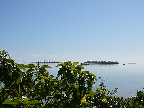 Landscape in Tonga, coast