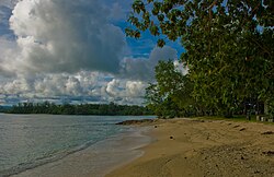 Landscape in Vanuatu, sunset silhouette imagicity