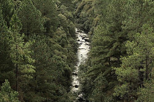 The river Paraná, tibagi paraná
